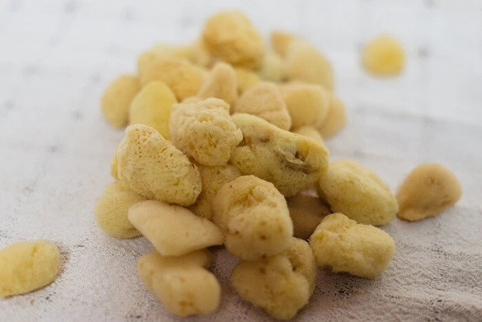 Mediterranean Silk Sponges 1.5"- 1.75"