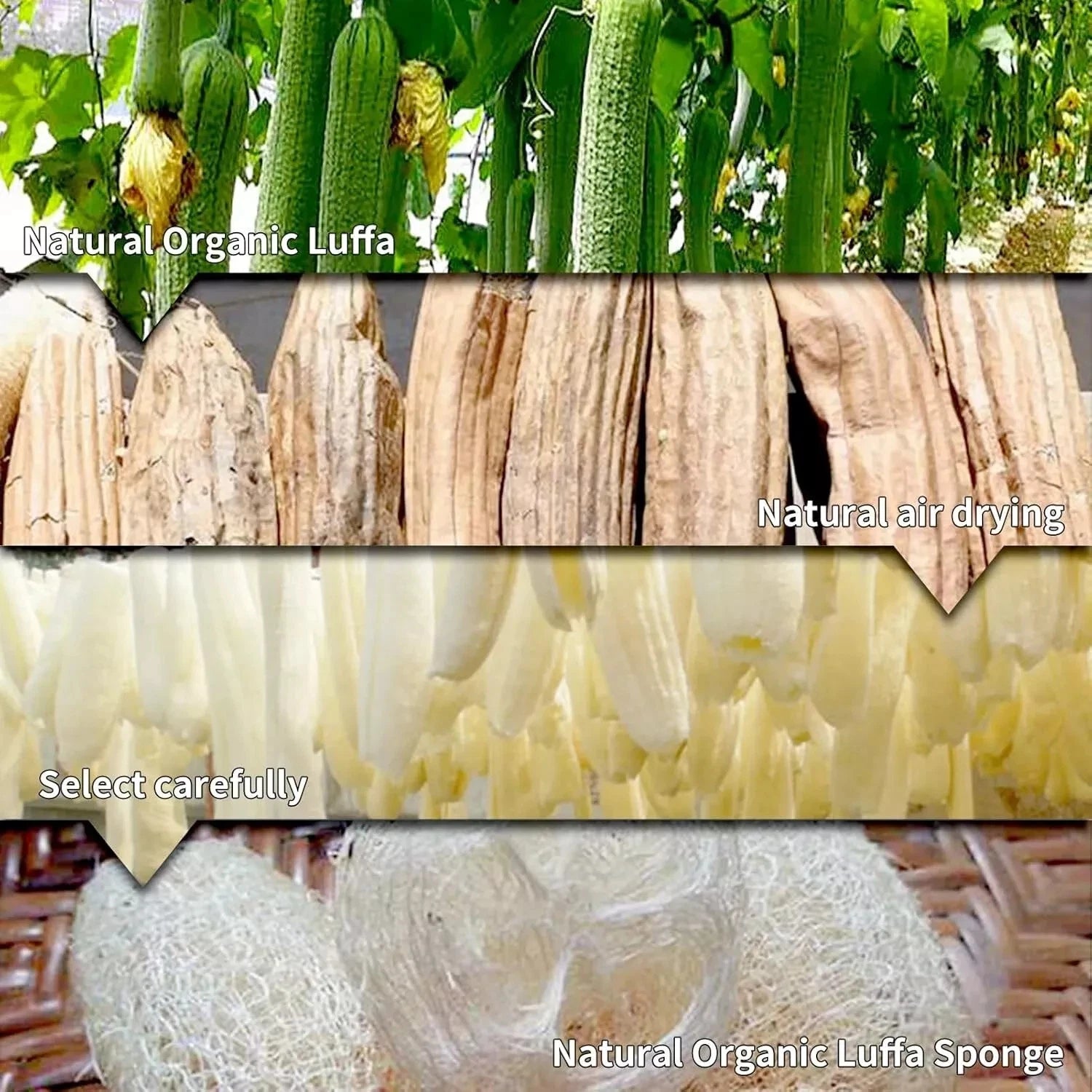 5pcs Natural Loofah Sponge Exfoliating Body Scrubber Shower Bath Spa Dishes Wash