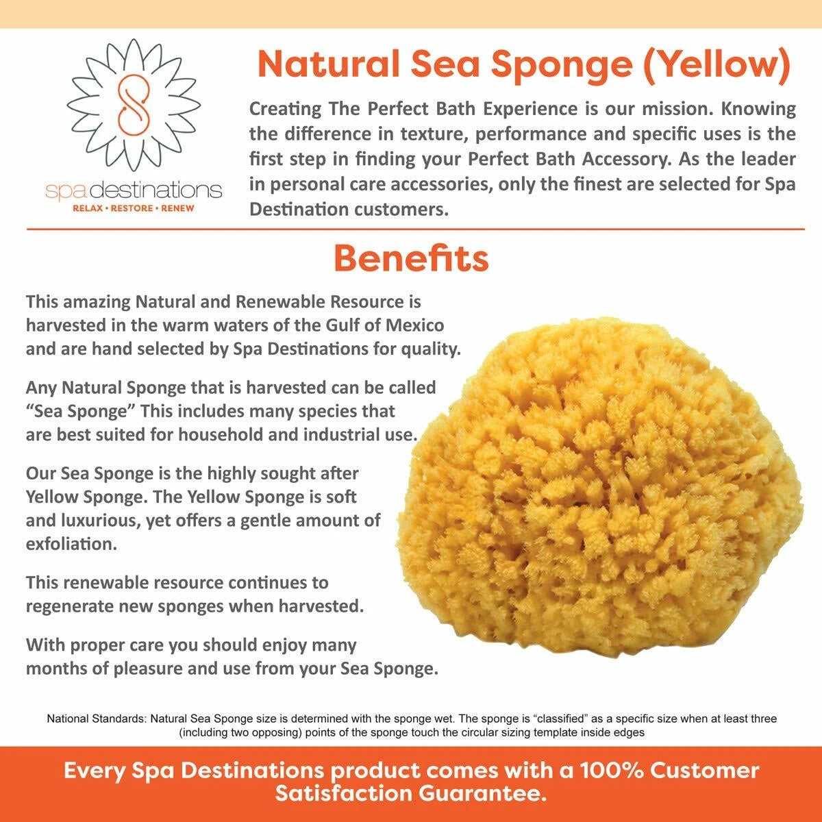 Natural Yellow Sea Sponges by Spa Destinations (Choose Size)