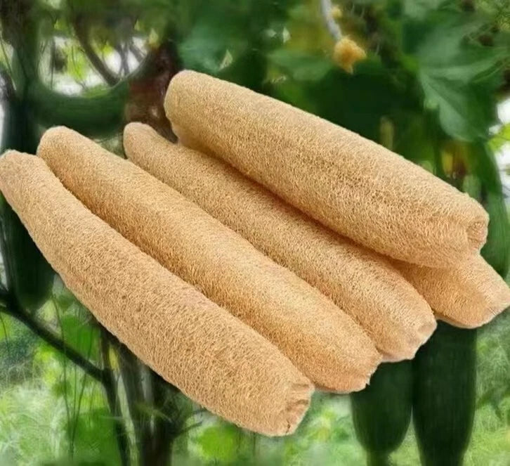 5 pieces thin Loofah Dishcloth Dish Rags compostable Natural Exfoliating Sponge