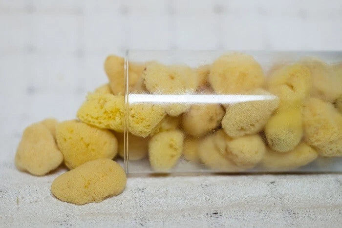 Mediterranean Silk Sponges 1.5"- 1.75"