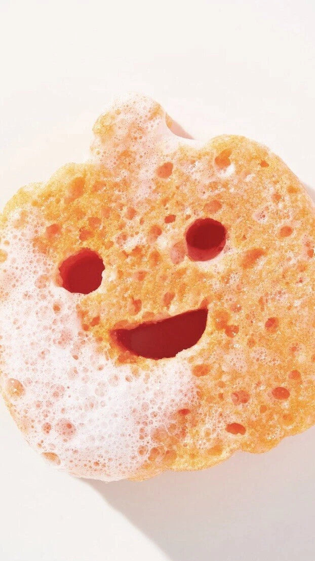 Boo Pals By Spongelle Pumpkin Spice Multi Use Sponge With Built In Body Wash