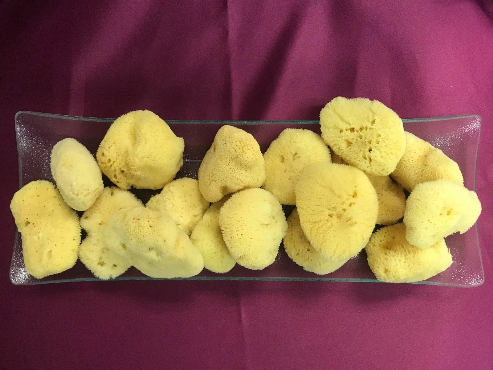 NATURAL 3"- 3.5"    SEA SILK SPONGES  LOT OF 5 FROM GREECE