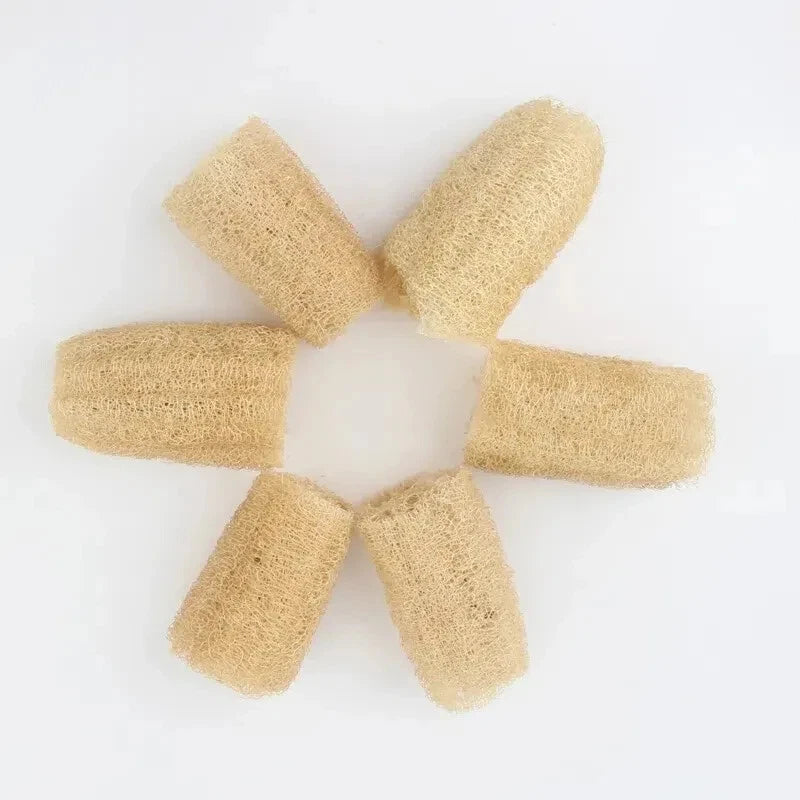 6 pack Natural Loofah Sponges Organic Luffa Bath Shower Sponge Exfoliating Body