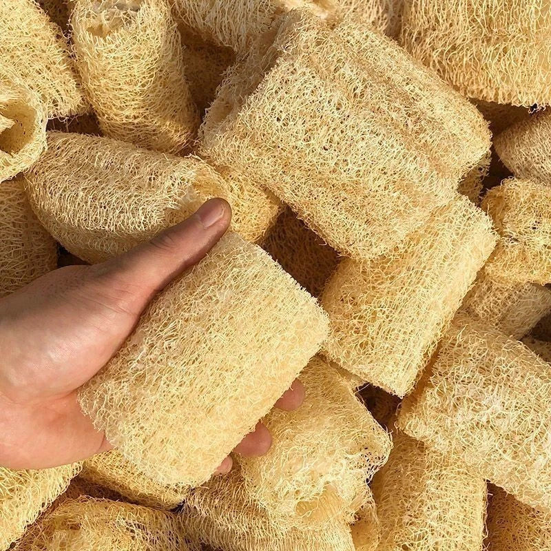6 pack Natural Loofah Sponges Organic Luffa Bath Shower Sponge Exfoliating Body