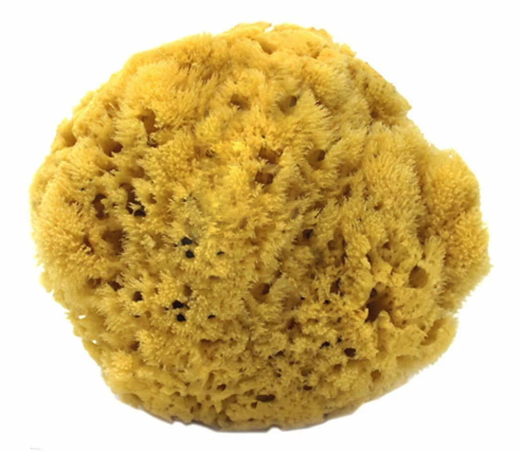 Natural Yellow Sea Sponges by Spa Destinations (Choose Size)