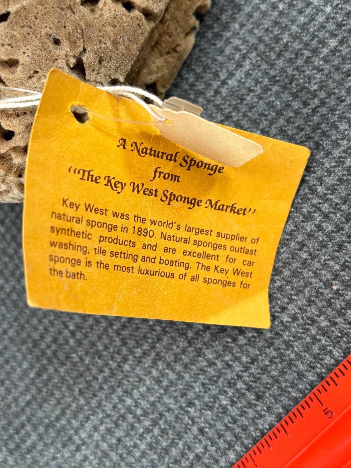 B32 Large Natural Sea Sponge 8” X 7” X 3” NWT From "The Key West Sponge Market"