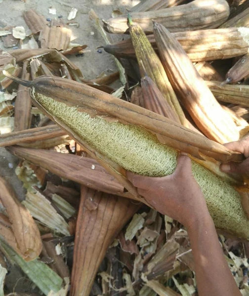 5 pieces thin Loofah Dishcloth Dish Rags compostable Natural Exfoliating Sponge