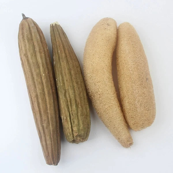 5 pieces thin Loofah Dishcloth Dish Rags compostable Natural Exfoliating Sponge