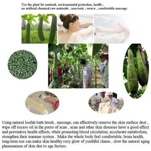 back strap bath shower body sponge body scrubber brush personal cleaning tool