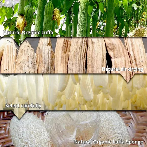 5pcs Natural Loofah Sponge Exfoliating Body Scrubber Shower Bath Spa Dishes Wash