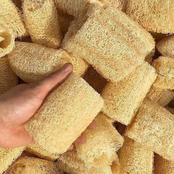 6 pack Natural Loofah Sponges Organic Luffa Bath Shower Sponge Exfoliating Body