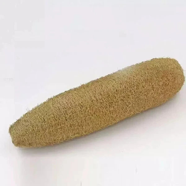2pc Natural Loofah Sponges Organic Luffa Bath Shower Sponge Exfoliating Scrubber