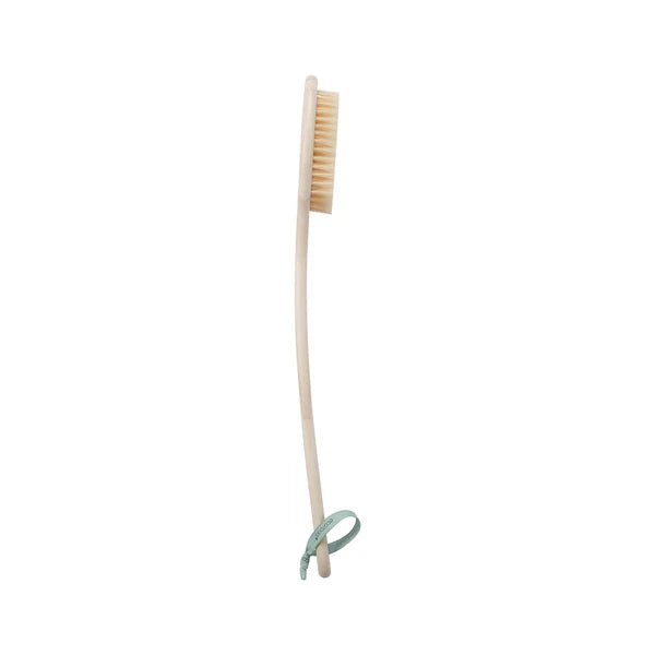 Bath Bristle Brush, Bath Brush with Long Handle, Cleanse Back & Hard-To-Reach Ar
