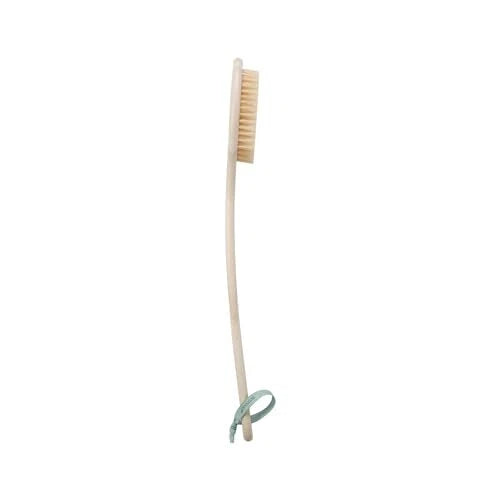 Bath Bristle Brush with Long Handle, Cleanse Back & Hard-to-Reach Areas